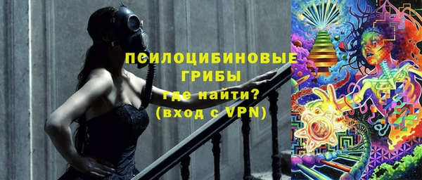 мяу мяу мука Гусев