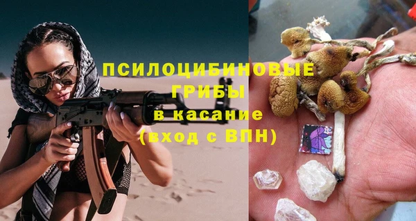 мяу мяу мука Гусев